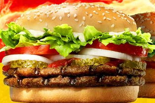 哆哆基 引領(lǐng)養(yǎng)生新風(fēng)尚，快餐行業(yè)的健康革命者